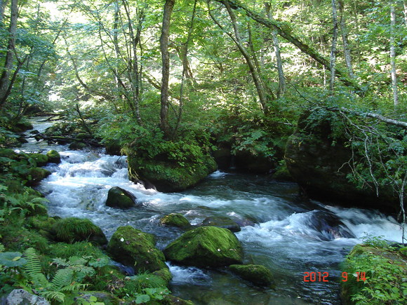 a0188775_11353923.jpg