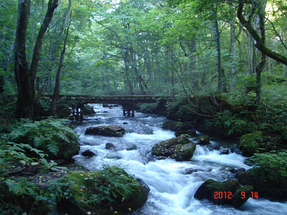 a0188775_11361499.jpg