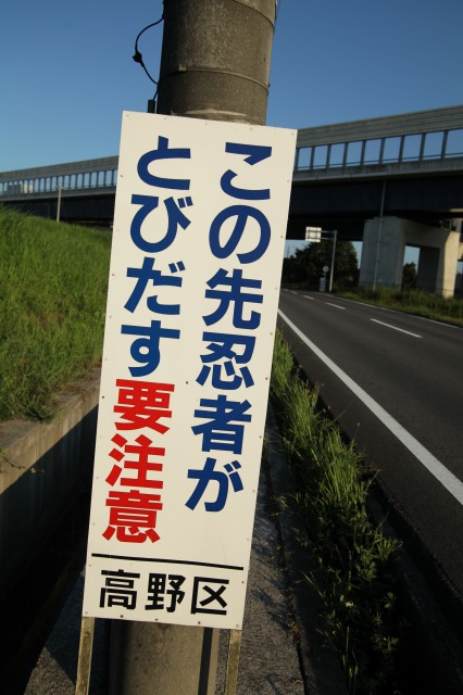 c0196076_8444742.jpg