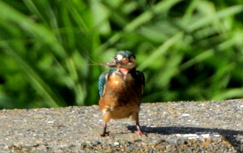 d0262476_6135535.jpg