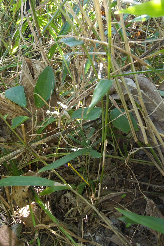 f0090680_2334344.jpg