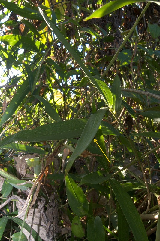 f0090680_2384476.jpg