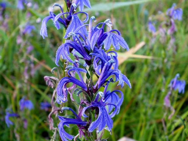 f0082181_21345691.jpg