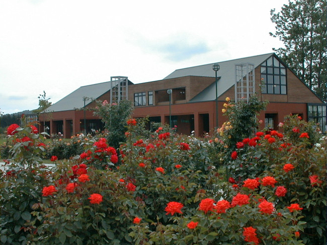 b0169987_2281074.jpg