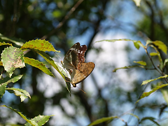 b0194593_17482766.jpg