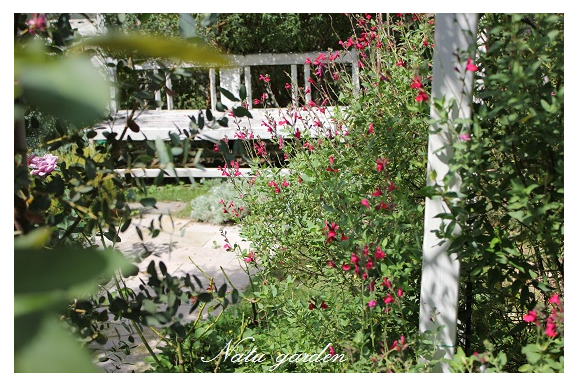 b0207995_17473281.png