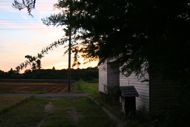 d0100095_75037100.jpg