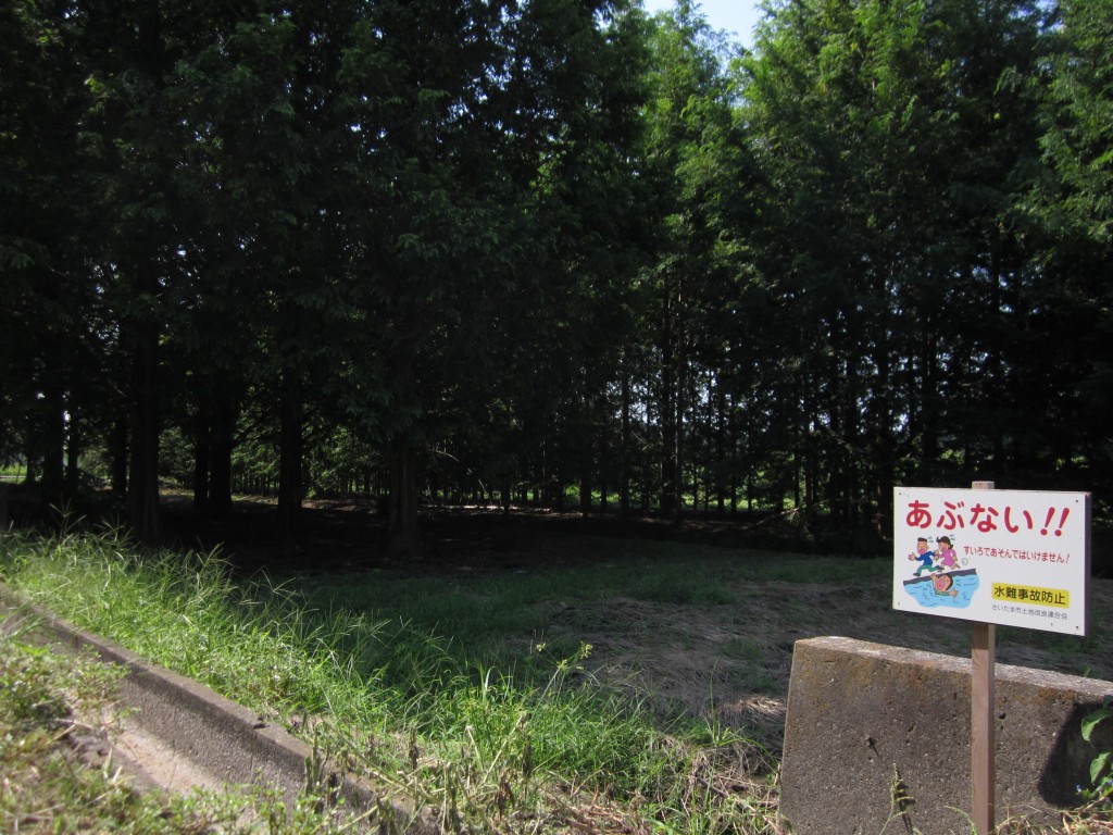 d0119595_13262048.jpg