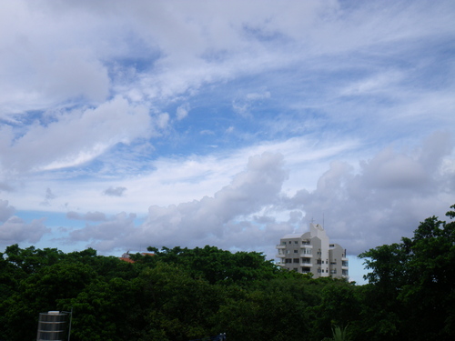 c0193396_1055297.jpg
