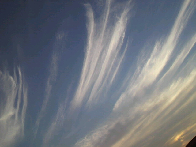 a0199297_23687.jpg