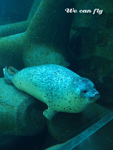 f0159297_23515387.jpg