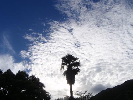 a0125598_23471713.jpg
