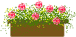 d0057701_15282320.gif
