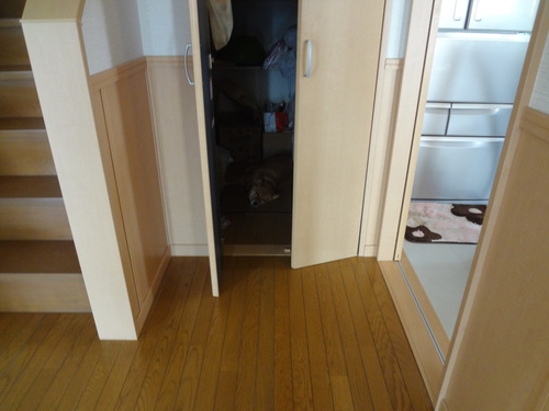 e0292102_11113676.jpg