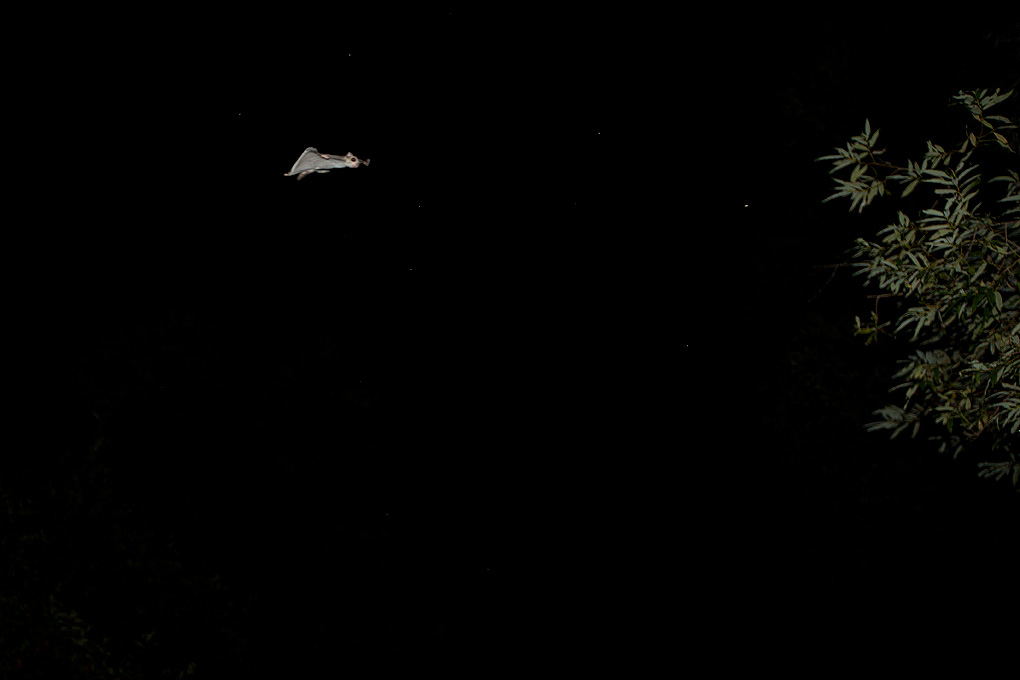 b0189415_1840478.jpg