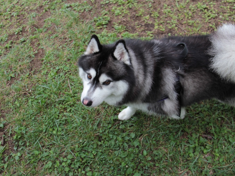 b0207615_14571430.jpg