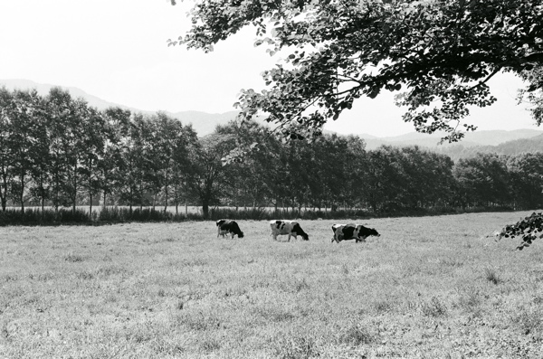 f0182924_1417377.jpg