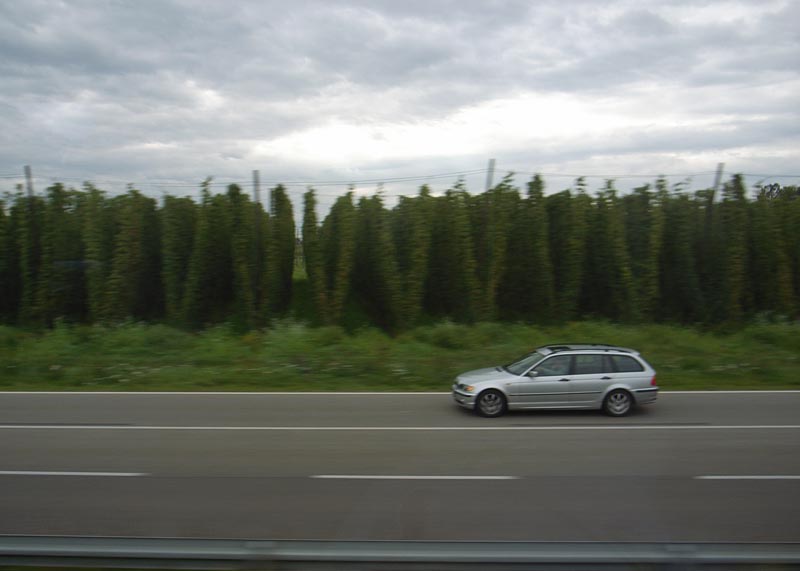 a0118329_1951121.jpg