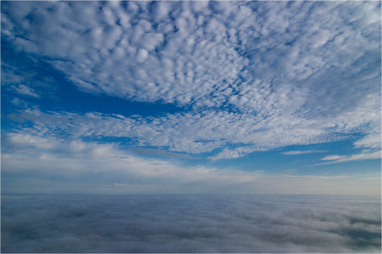 a0245331_1405737.jpg