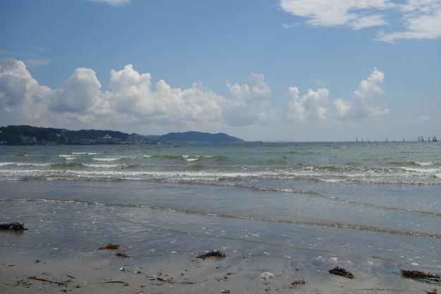 a0287336_8153724.jpg