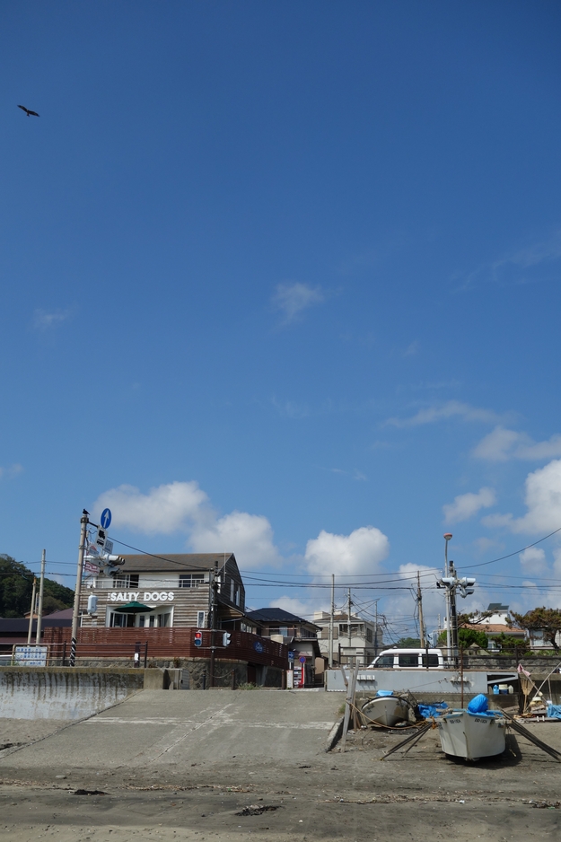 a0287336_8155318.jpg