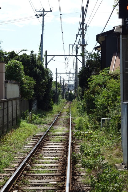 a0287336_8304066.jpg