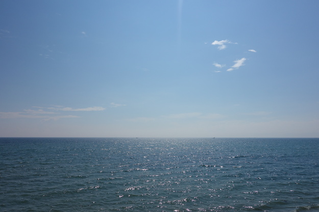 a0287336_8452417.jpg
