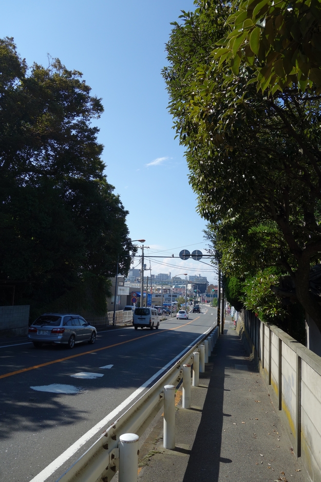 a0287336_849476.jpg