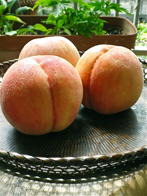 b0027736_171152100.jpg