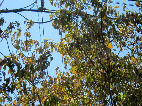 b0178339_22311068.jpg