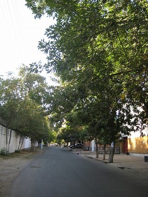 d0195041_23375043.jpg