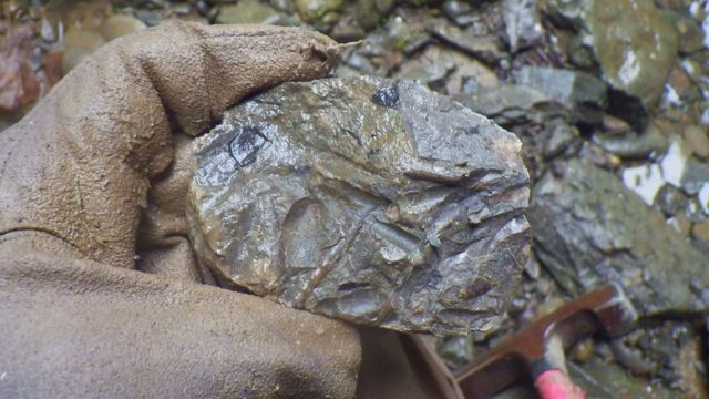 e0290546_22354542.jpg