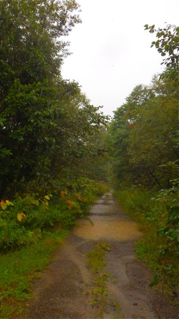 e0290546_2236961.jpg
