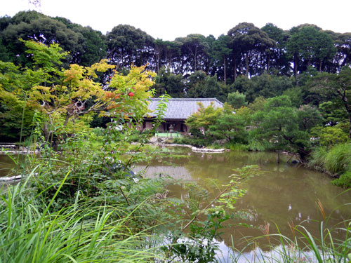 e0034047_1442899.jpg