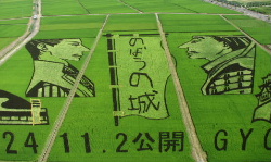 e0172950_211206.jpg