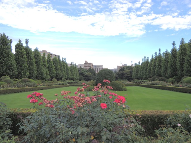 b0173754_12545163.jpg