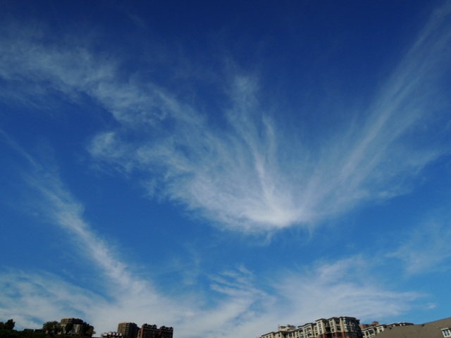 b0173754_1411233.jpg