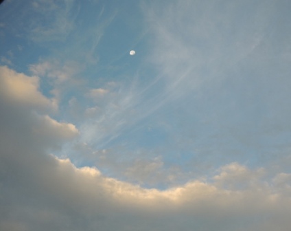 b0173754_1524284.jpg