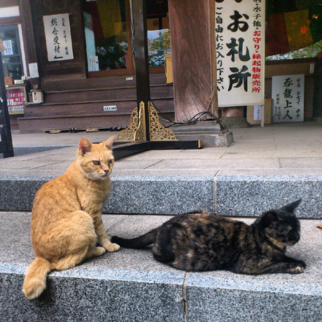 f0117059_2217014.jpg