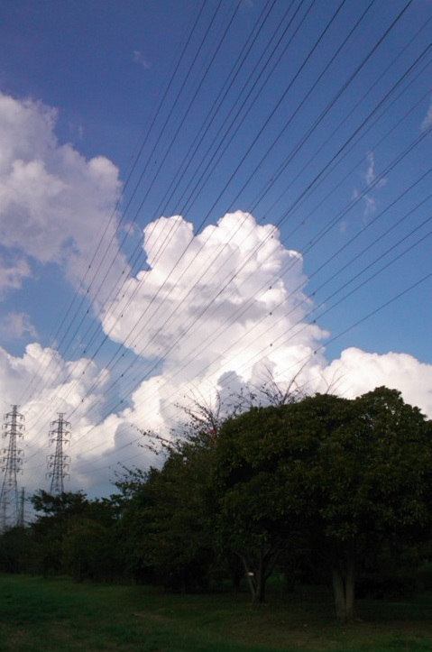 e0271461_15381635.jpg