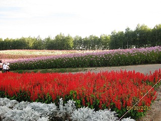 f0098562_0402076.jpg