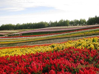 f0098562_04027.jpg