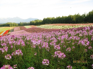 f0098562_040494.jpg