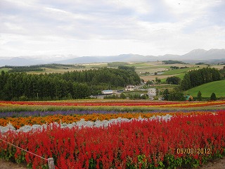 f0098562_0405674.jpg