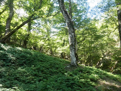 f0057070_21562653.jpg