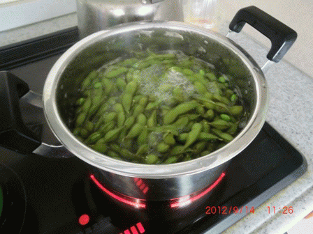e0085772_14331010.gif