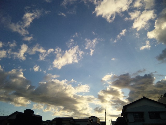 d0109373_22503766.jpg