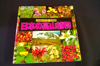 f0182173_11304486.jpg