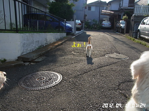 b0136381_12255448.jpg