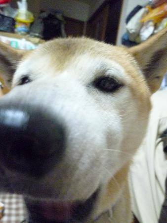 c0123890_1749213.jpg